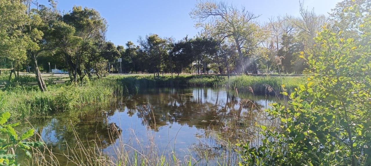 Farm stay Casas Da Barra *