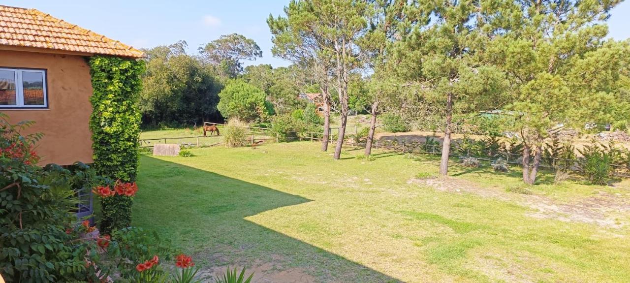 Casas Da Barra * Praia de Mira
