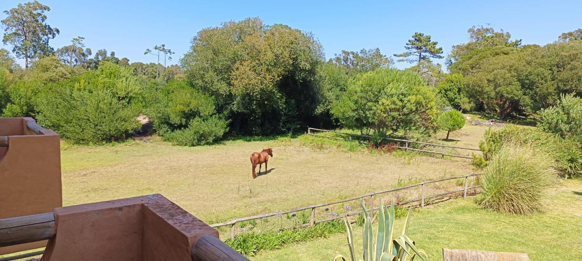 Casas Da Barra Praia de Mira